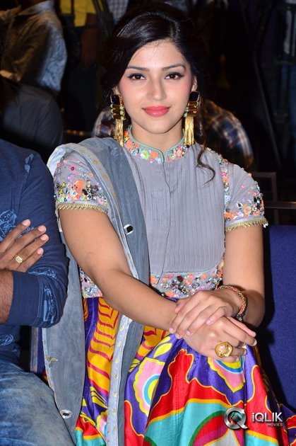 Raja-The-Great-Movie-Success-Meet